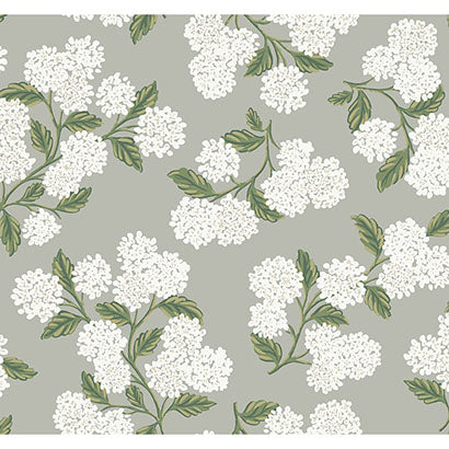 Hydrangea Wallpaper | Jeffrey Stevens