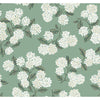 Hydrangea Wallpaper | Jeffrey Stevens
