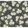 Hydrangea Wallpaper | Jeffrey Stevens