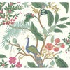 Peacock Wallpaper | Jeffrey Stevens