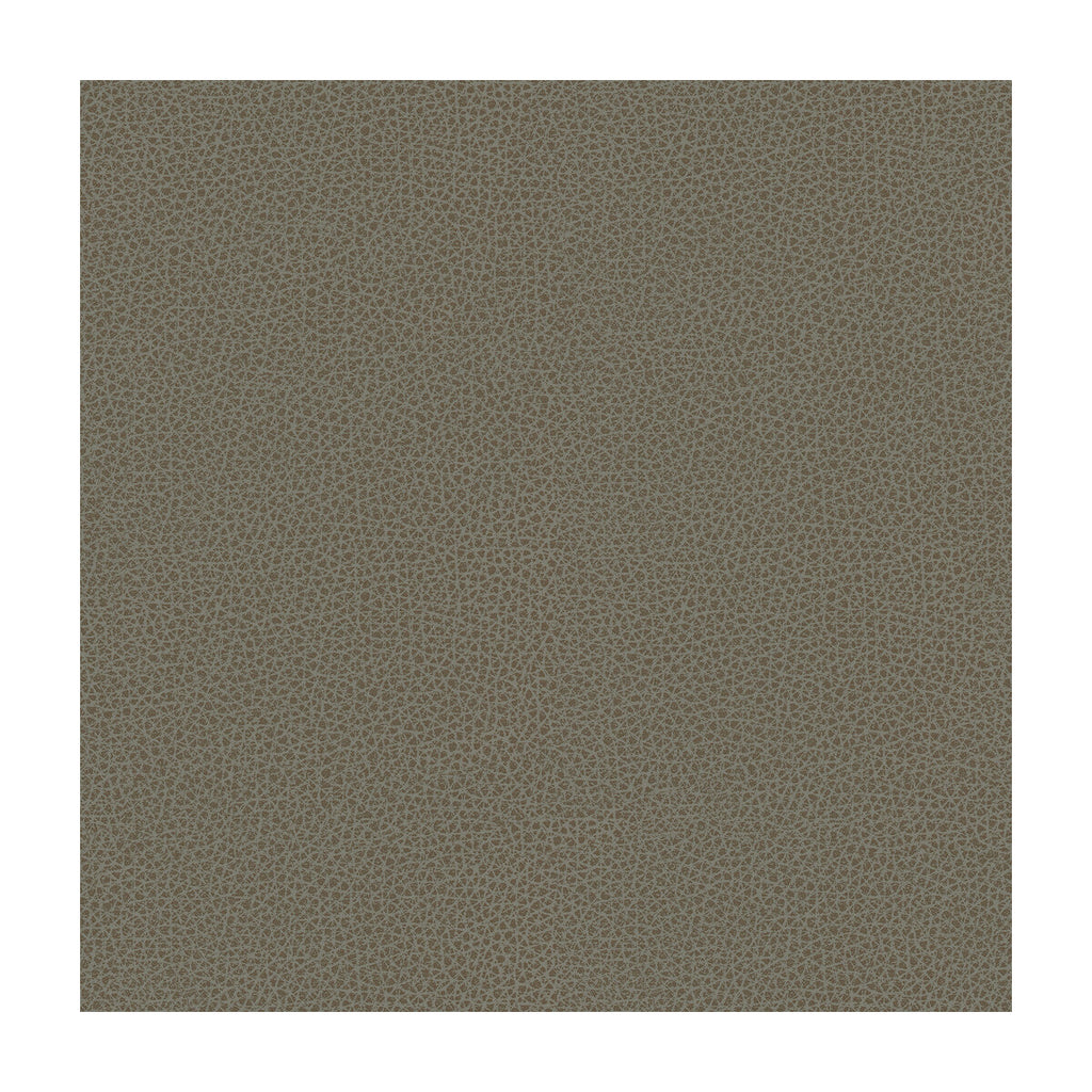 Samples and Purchasing available for Kravet Design - Rigel-11 Grey By Kravet Design |  |Solid Texture Upholstery Vinyl/Faux Leather at Designer Wallcoverings and Fabrics