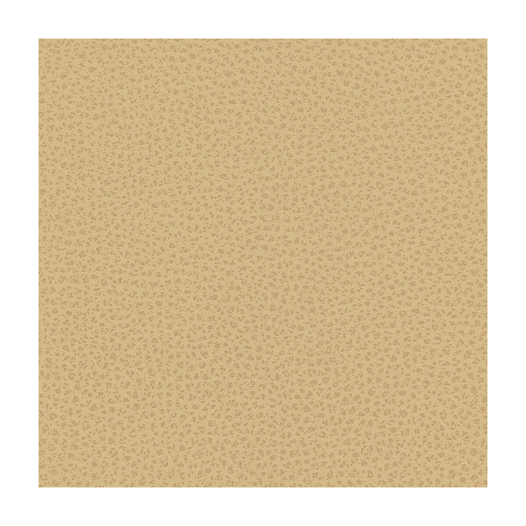 Samples and Purchasing available for Kravet Design - Rigel-16 Beige By Kravet Design |  |Solid Texture Upholstery Vinyl/Faux Leather at Designer Wallcoverings and Fabrics