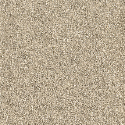 Fossil Wallpaper | Jeffrey Stevens