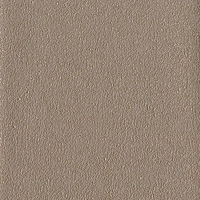 Fossil Wallpaper | Jeffrey Stevens