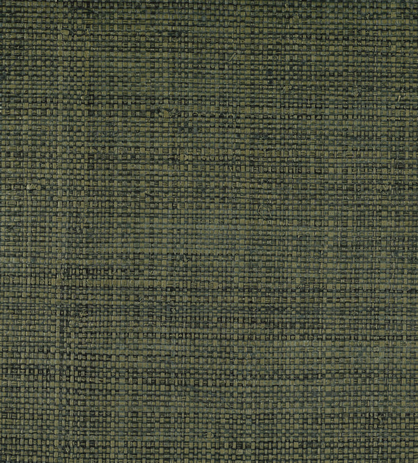 Nettuno Olive | Fentucci Naturals