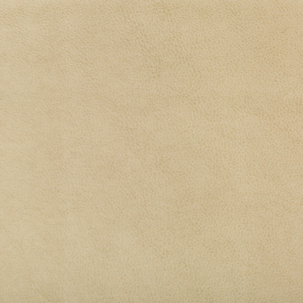 Samples and Purchasing available for Kravet Design - Ruffian-16 Beige By Kravet Design |  |  Upholstery Vinyl/Faux Leather at Designer Wallcoverings and Fabrics