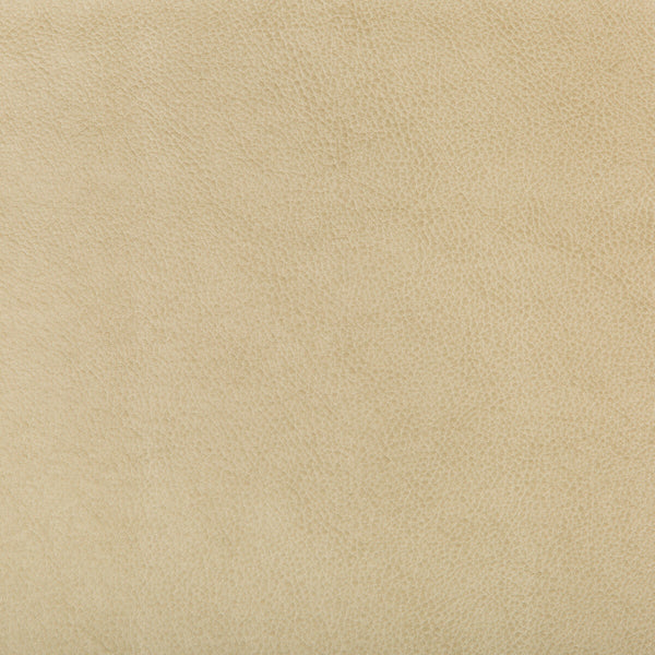 Samples and Purchasing available for Kravet Design - Ruffian-16 Beige By Kravet Design |  |  Upholstery Vinyl/Faux Leather at Designer Wallcoverings and Fabrics