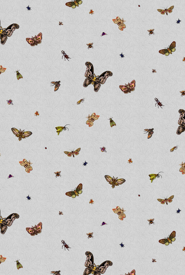 Nightcrawlers Cool Grey | Timorous Beasties Wallcovering
