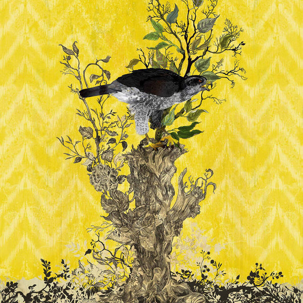 Winchester Panels Yellow | Timorous Beasties Wallcovering