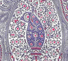 Rajah Paisley, Multi Lavender / Rouge on Linen