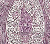 Rajah Paisley, Soft Lavender on Linen