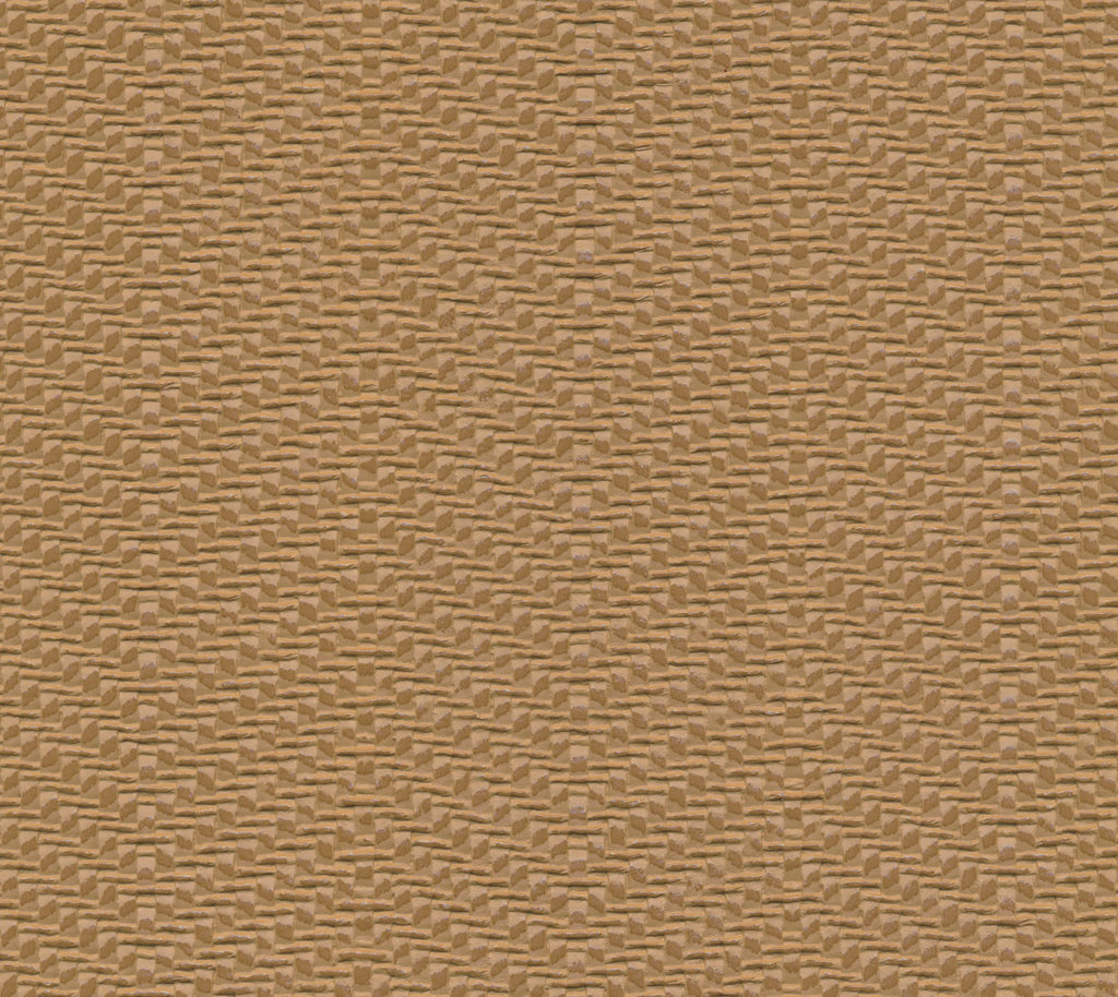 Raffia Wallcovering | Phillipe Romano
