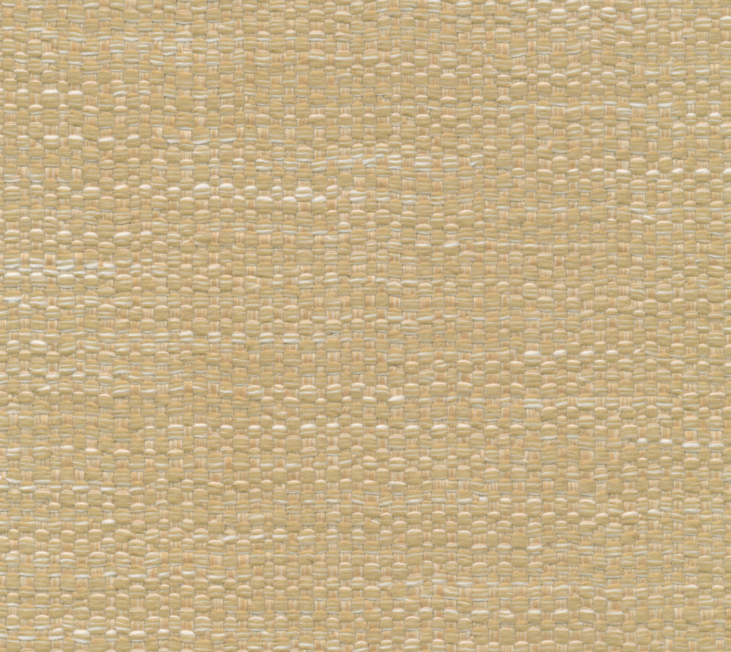 Ambergris Wallcovering | Phillipe Romano
