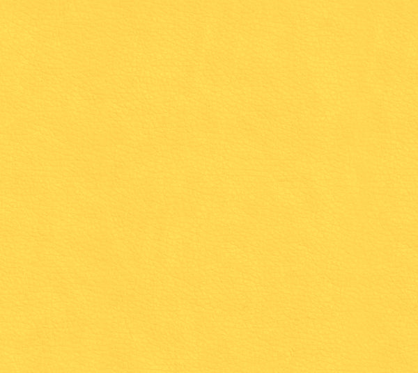 Canoe | Commercial Fabric | Los Angeles Fabrics