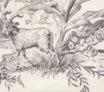 Robinson Crusoe Toile, Noir