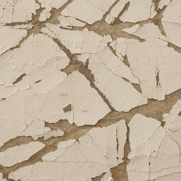 Sakkara Anubis Wallcovering | Vahallan