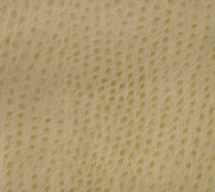 Lagoon - Cane Wallcovering | Phillipe Romano