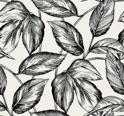 Beckett Sketched Leaves Coastal Botanical - Volcanic Black | Architectural Wallcoverings