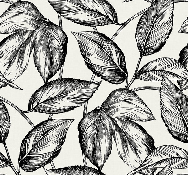 Beckett Sketched Leaves Coastal Botanical - Volcanic Black | Architectural Wallcoverings