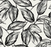 Malibu Beckett Sketched Leaves Wallpaper - Coastal Botanical - Volcanic Black | Malibu Wallpaper