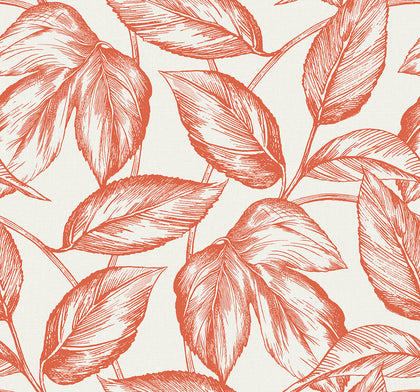 Beckett Sketched Leaves Coastal Botanical - Rich Coral | Architectural Wallcoverings