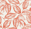 Malibu Beckett Sketched Leaves Wallpaper - Coastal Botanical - Rich Coral | Malibu Wallpaper