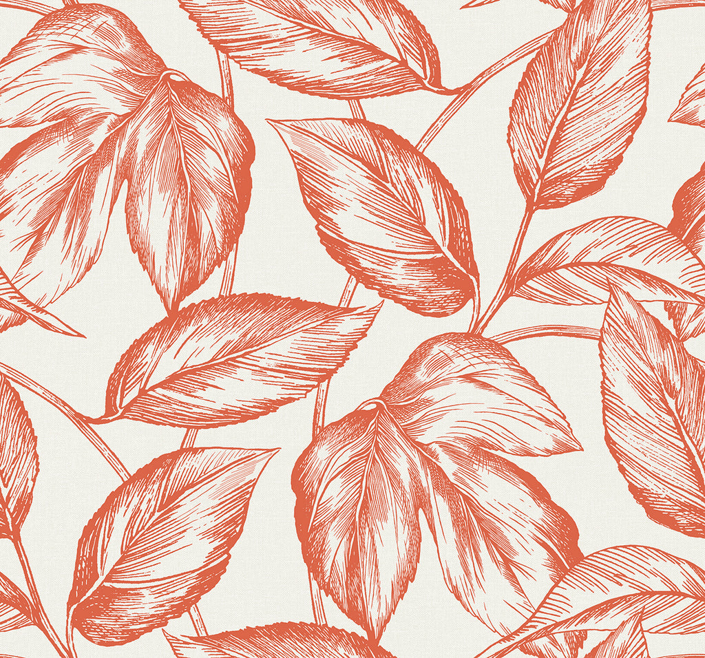 Malibu Beckett Sketched Leaves Wallpaper - Coastal Botanical - Rich Coral | Malibu Wallpaper