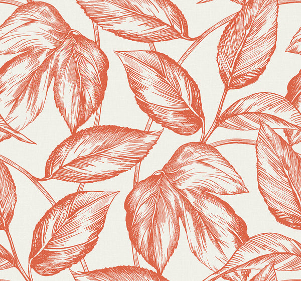 Malibu Beckett Sketched Leaves Wallpaper - Coastal Botanical - Rich Coral | Malibu Wallpaper
