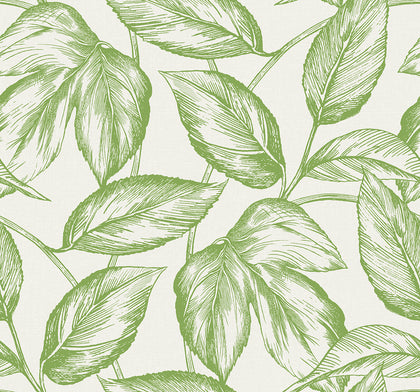 Beckett Sketched Leaves Coastal Botanical - Apple Green | Architectural Wallcoverings