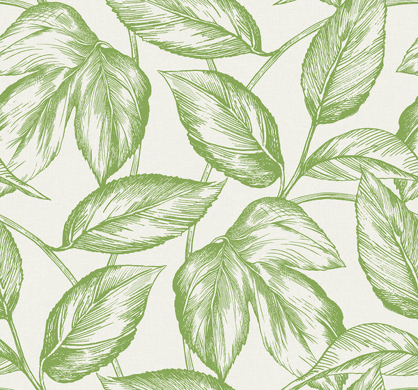 Beckett Sketched Leaves Coastal Botanical - Apple Green | Architectural Wallcoverings