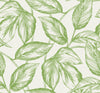 Malibu Beckett Sketched Leaves Wallpaper - Coastal Botanical - Apple Green | Malibu Wallpaper