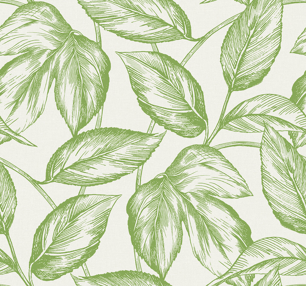Malibu Beckett Sketched Leaves Wallpaper - Coastal Botanical - Apple Green | Malibu Wallpaper