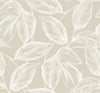 Malibu Beckett Sketched Leaves Wallpaper - Coastal Botanical - Oat | Malibu Wallpaper