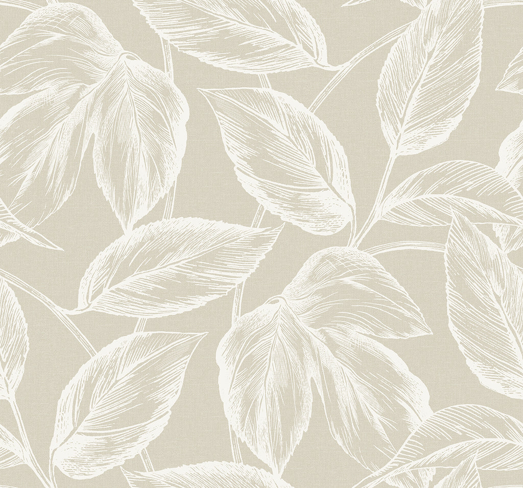Malibu Beckett Sketched Leaves Wallpaper - Coastal Botanical - Oat | Malibu Wallpaper
