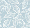 Malibu Beckett Sketched Leaves Wallpaper - Coastal Botanical - Baby Blue | Malibu Wallpaper