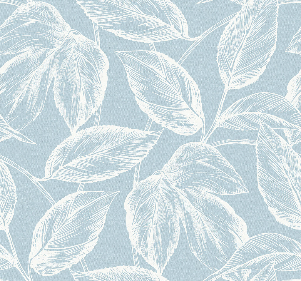 Malibu Beckett Sketched Leaves Wallpaper - Coastal Botanical - Baby Blue | Malibu Wallpaper