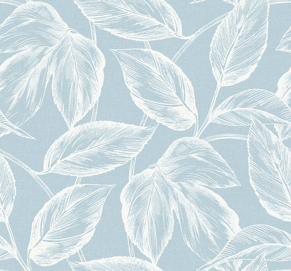 Malibu Beckett Sketched Leaves Wallpaper - Coastal Botanical - Baby Blue | Malibu Wallpaper