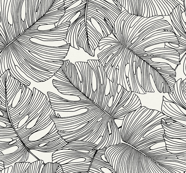 Pacific Coast - Eucalyptus Cypress | Malibu Wallcovering