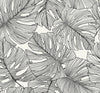 Malibu Tarra Monstera Leaf Wallpaper - Tropical Botanical - Contrasto | Malibu Wallpaper
