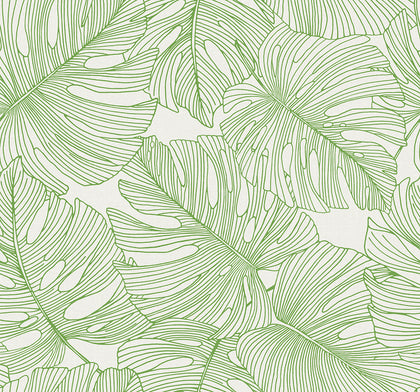 Pacific Coast - Eucalyptus Cypress | Malibu Wallcovering
