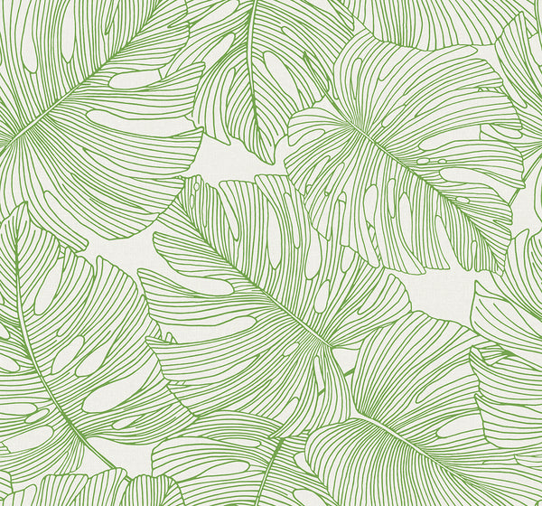 Pacific Coast - Eucalyptus Cypress | Malibu Wallcovering