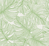 Malibu Tarra Monstera Leaf Wallpaper - Tropical Botanical - Hill Green | Malibu Wallpaper