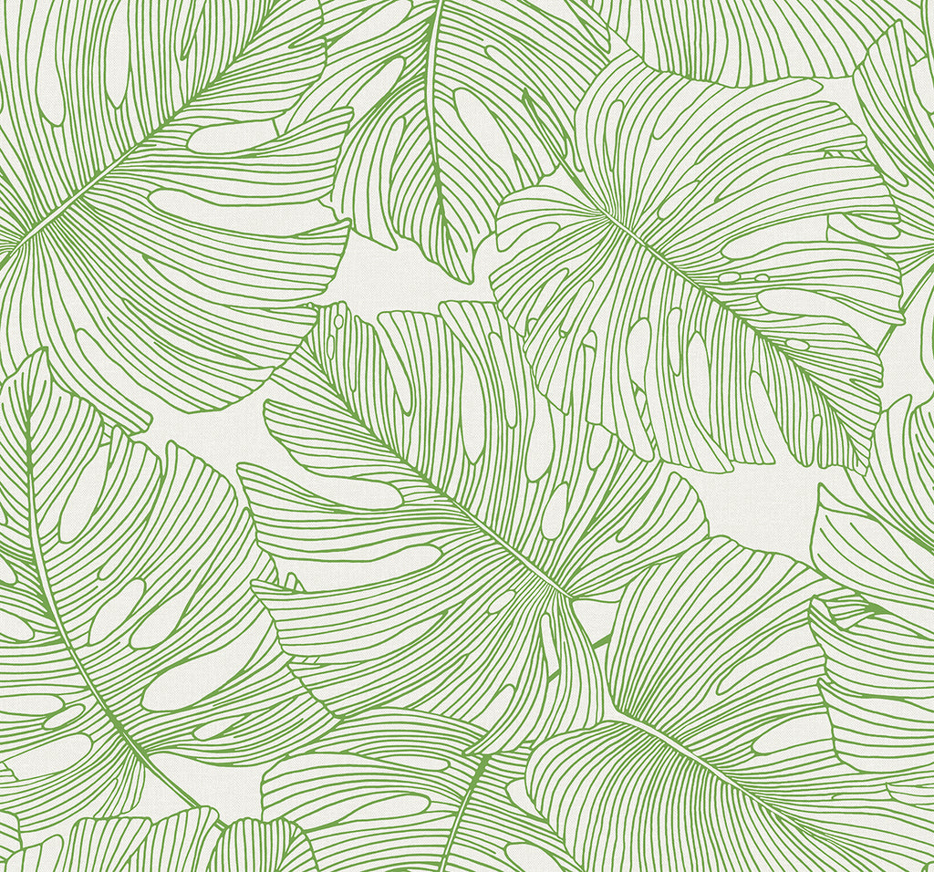 Malibu Tarra Monstera Leaf Wallpaper - Tropical Botanical - Hill Green | Malibu Wallpaper