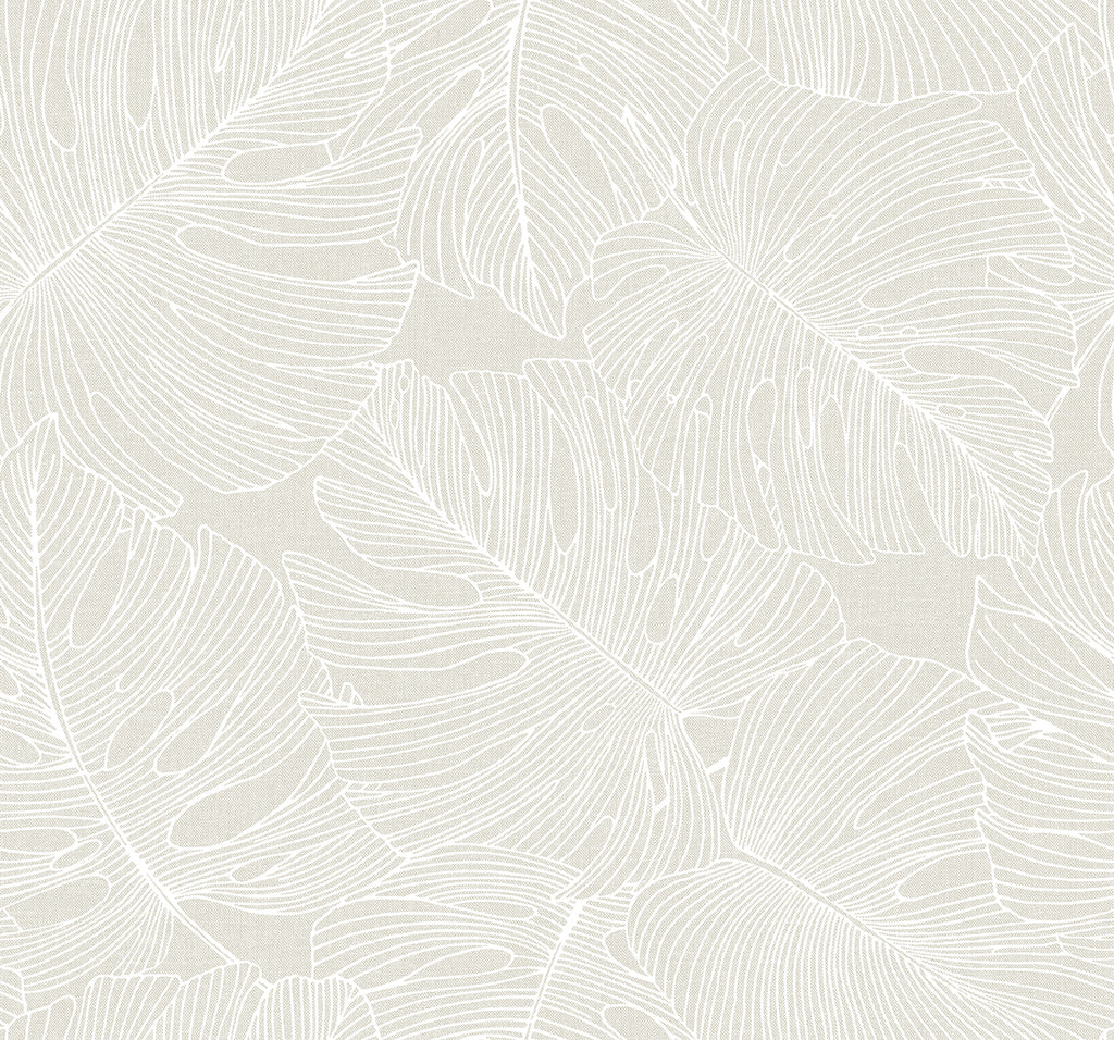 Malibu Tarra Monstera Leaf Wallpaper - Tropical Botanical - White Sand | Malibu Wallpaper