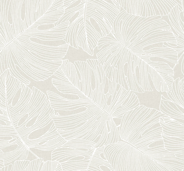 Malibu Tarra Monstera Leaf Wallpaper - Tropical Botanical - White Sand | Malibu Wallpaper