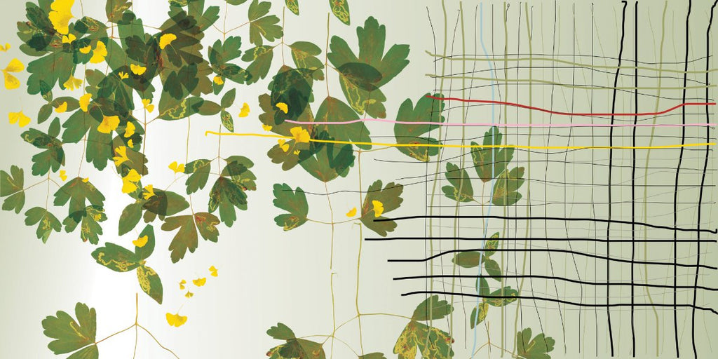 Scarlett-&-Mary-Margaret-Green   Wallpaper (Srd-Smm-01) | Sarah Rowland | Koroseal