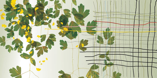 Scarlett-&-Mary-Margaret-Green   Wallpaper (Srd-Smm-01) | Sarah Rowland | Koroseal