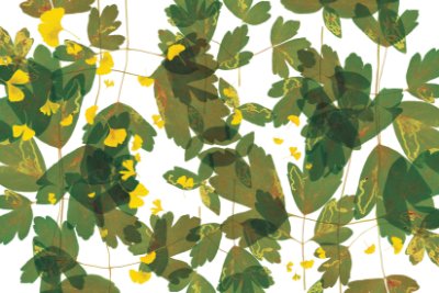 Scarlett Green - White Commercial Wallcovering | Koroseal