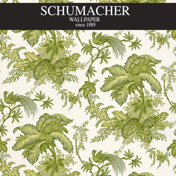 Authorized Dealer of 5004053 by Schumacher Wallpaper at Designer Wallpapers and Fabrics, Your online resource since 2007
