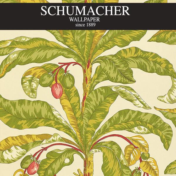 Authorized Dealer of 5004063 by Schumacher Wallpaper at Designer Wallpapers and Fabrics, Your online resource since 2007